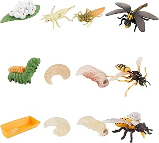 Windan 3 Sets Insect Figurines Life Cycle Stages Dragonfly, Wasp and Bee Growth Cycle Model Bug Figures for Insect Bugs Themed Party Children Education Favors Gifts