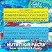 Jolly Rancher Jello Pack of 4 - Cherry and Blue Raspberry Jello Mix - Jello Mix Variety of Candy Gelatin - Jolly Rancher Jello Flavors - Bundle with Ballard Products Recipe Card