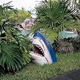 Great White Shark Resin Statue for Outdoor Decoration Realistic Crocodile Head Sculpture for Patio Garden Lawn Decor (Resin Shark, 12x12x22cm)