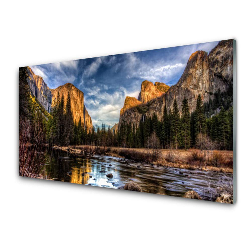 Tableau en verre trempé 100x50cm Tulup pour une déco nature