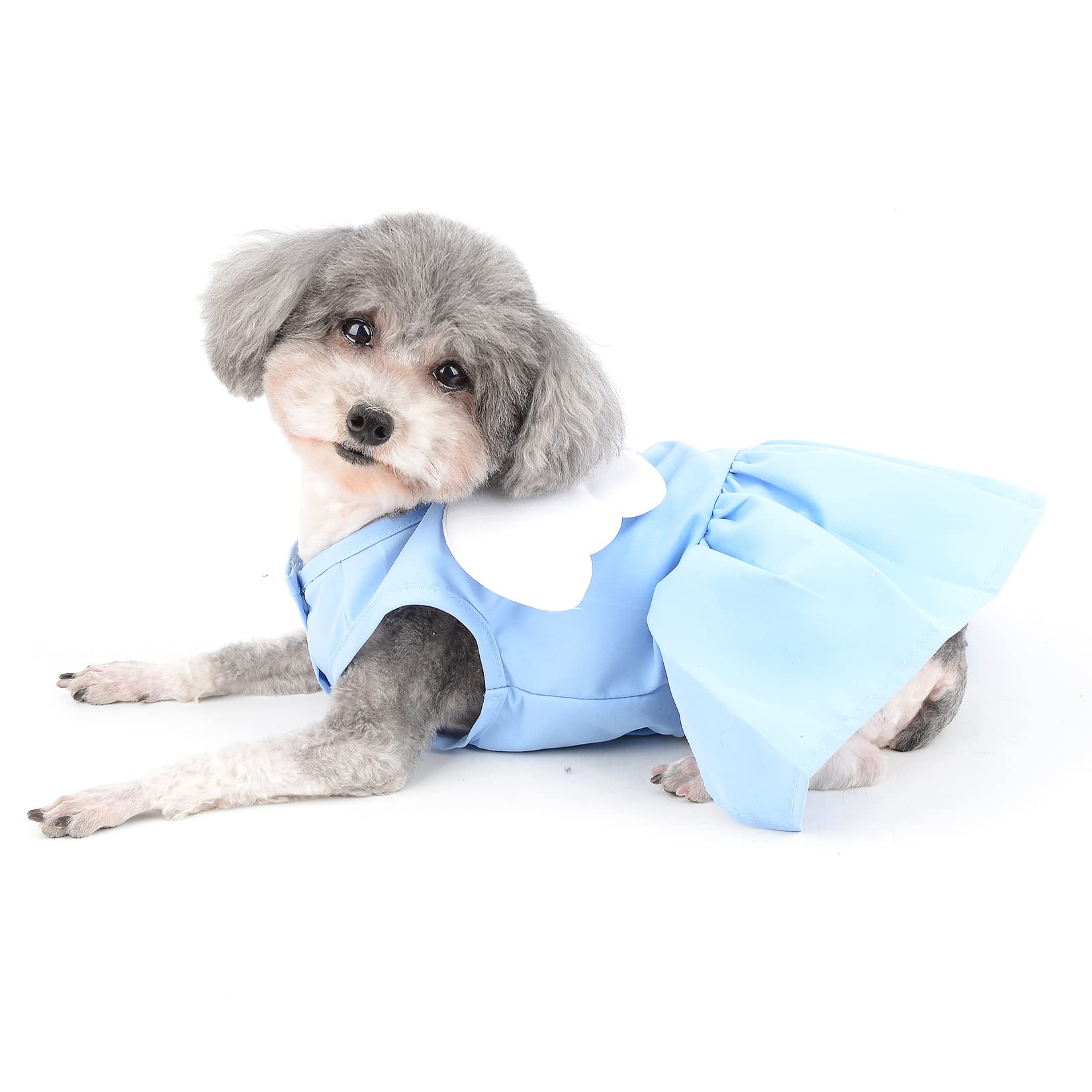 Ranphy Angel Wings Puppy Dresses for Small Dogs Girls Pet Clothes with D-ring Doggy Apparel Comfortable Summer Shirt Skirt Chihuahua Yorkie Cats Outfits - Image 2