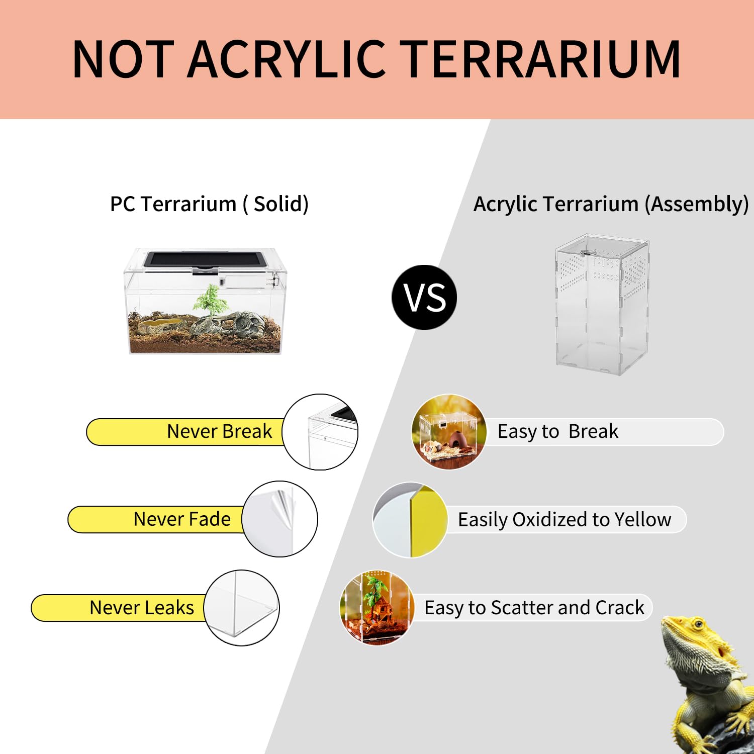 Mini Reptil Terrarium Set,12 "x 7" x 6" niedriges Reptilienbecken mit voller Sicht optisch ansprechend, für Insekt, Fisch, Tarantel, Einsiedlerkrebs, Springspinne, Leguan, Schildkröte, Leopard Gecko