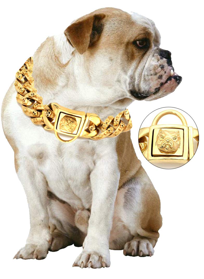 gold cuban chain dog collar
