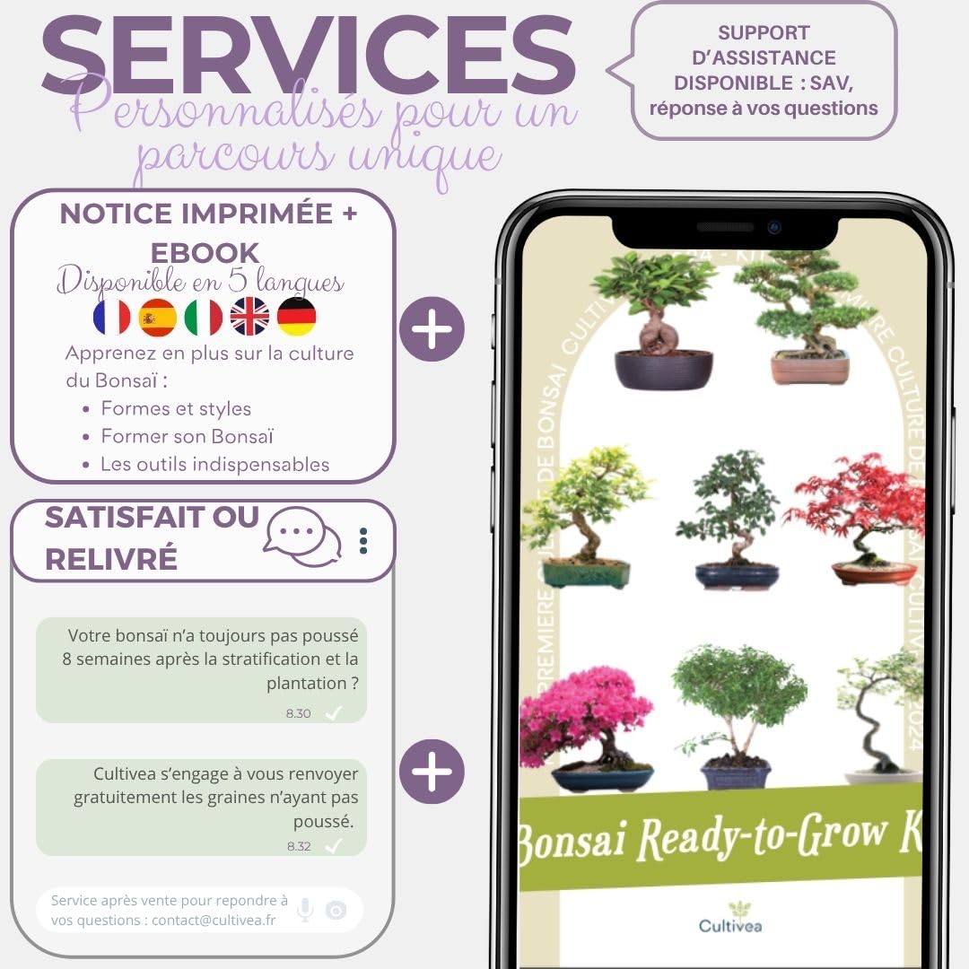 CULTIVEA® Kit First Bonsai – Kit de première culture de Bonsaï avec Graines & Accessoires, Made In France