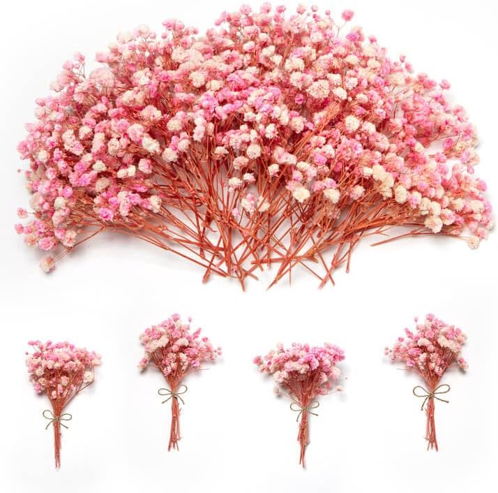 1500+ Mini Pink Dried Babys Breath Flowers, 50pcs Baby Breath Bou...
