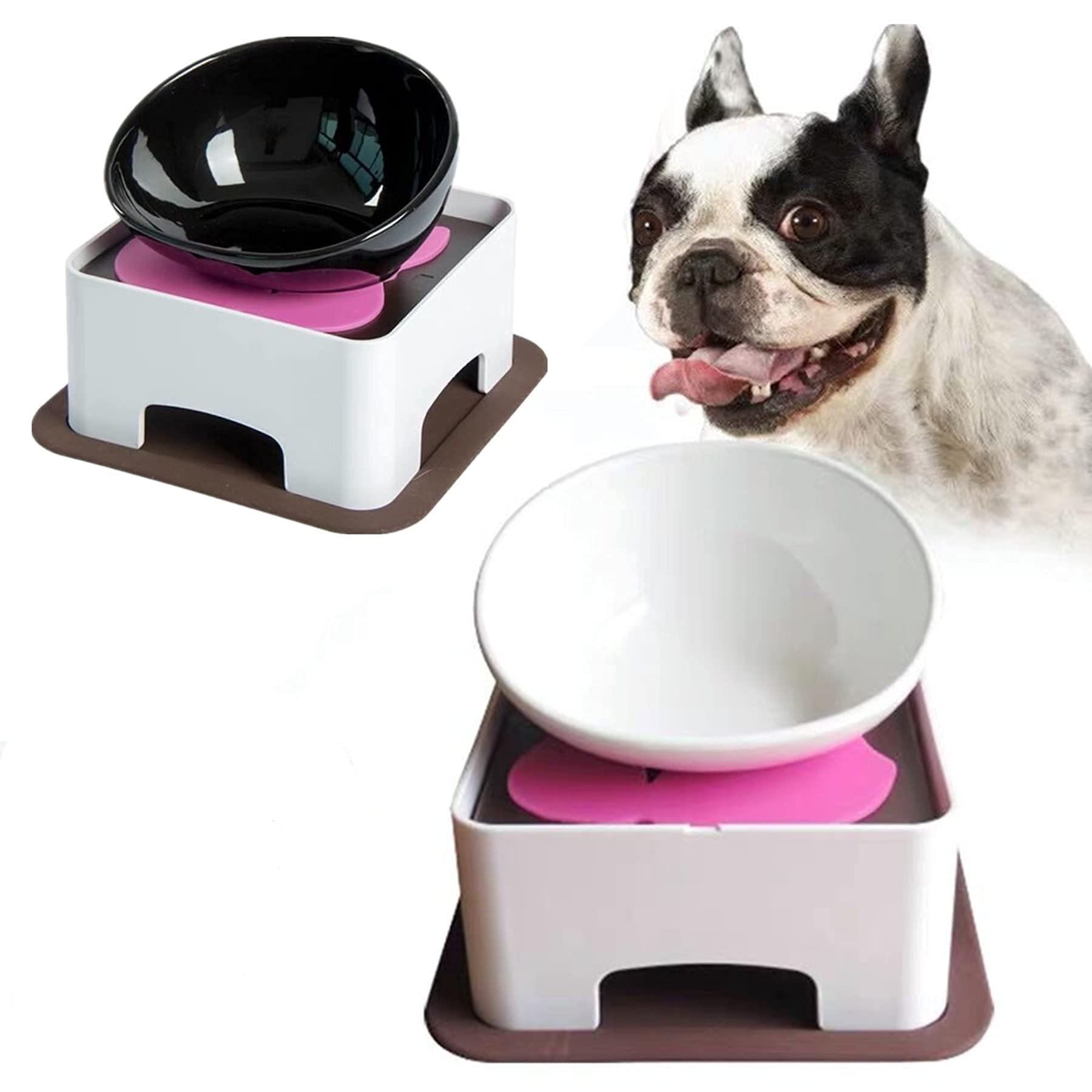 Ciotola antiscivolo per cani e gatti, ciotola staccabile per cani e animali domestici, sterile inclinata, ciotola in ceramica nera, 1,5 tazze