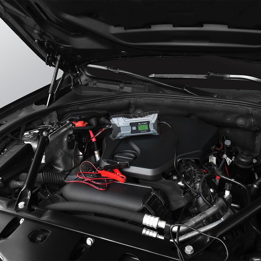 BLIVION Carica Batteria per Auto 6V/2A 12V 2A/4A | Caricabatterie Intelligente 7 Stadi | Tutte le Batterie Piombo Acido, Display LCD, IP65
