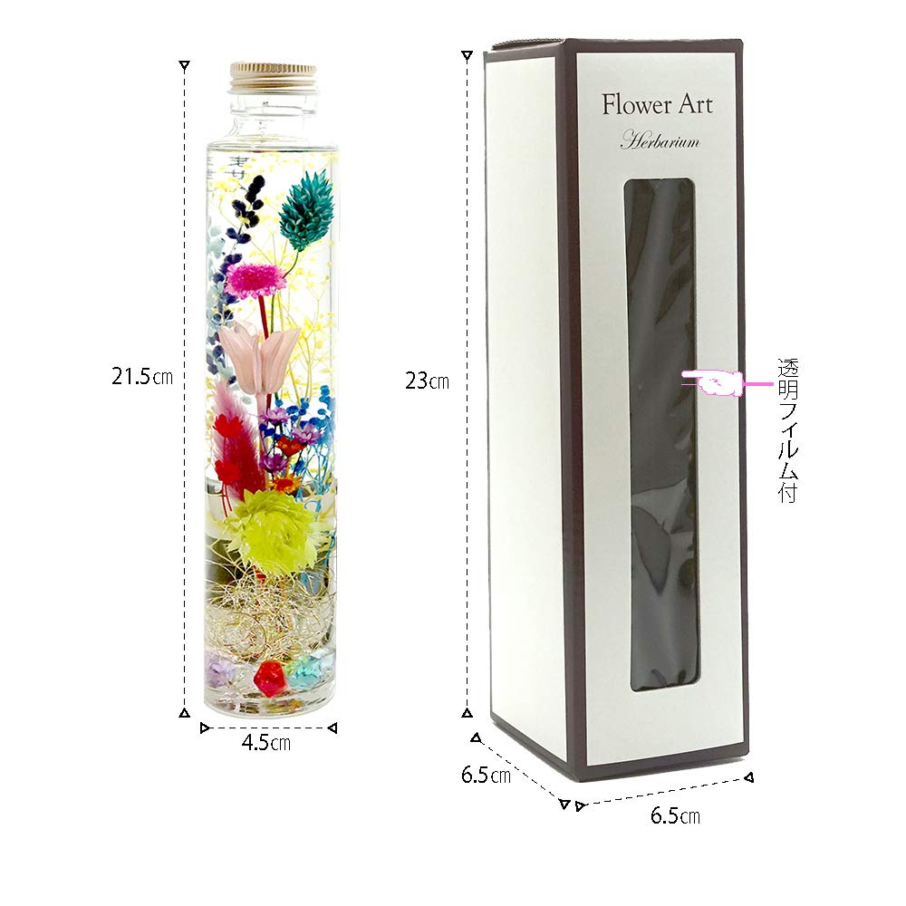 Amazon.co.jp: ハーバリウム Tropical Color (トロピカル カラー