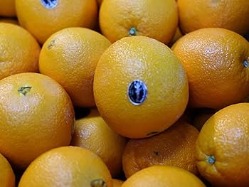 ネーブルオレンジ ヤマダモール | ”ネーブルオレンジ” 約15～17kg 大きさおまかせ