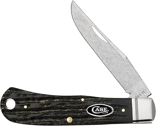 Case xx Knives - Cuchillo de bolsillo trasero 65094 S35VN de acero inoxidable y cuerno de búfalo