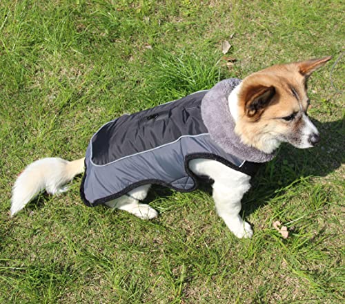 JoyDaog Hundemäntel mit Fleecekragen für kleine Hunde, wasserdichte, warme Welpenjacke aus Baumwolle für den kalten Winter, Schwarz XS
