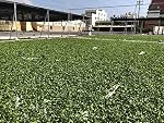 Taiwan Jasmine Oolong Tea 100g - Whole Leaf Premium Taiwan Oolong by Golden Tea Leaf Co.