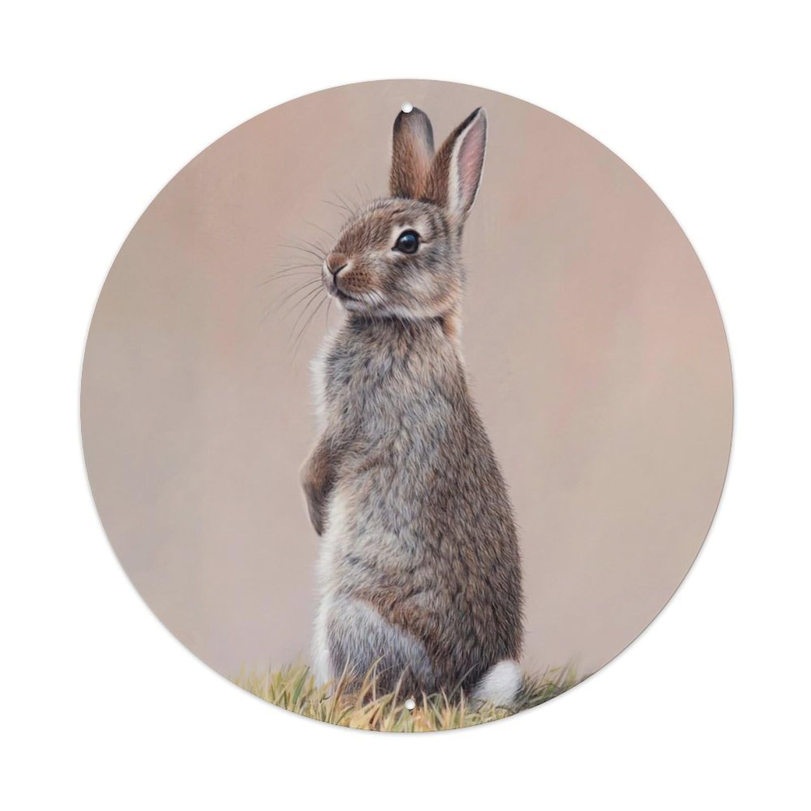 Animal Artwork Cute Bunny Vintage Metal Tin Sign Plaque Wall Decor for Cafe, Club Bar, Office, Garden Metal Poster 8x8Inch