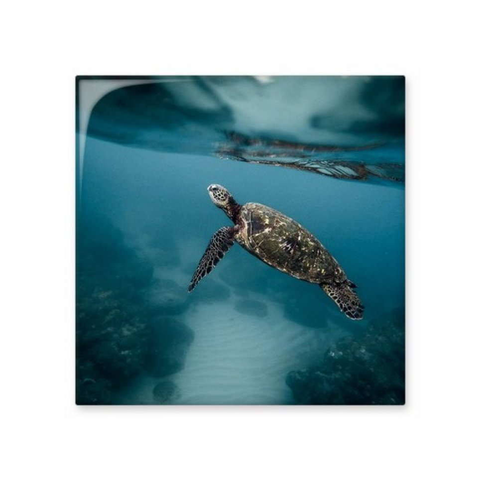 Carreau céramique tortue de mer pour une crédence de salle de bain marine