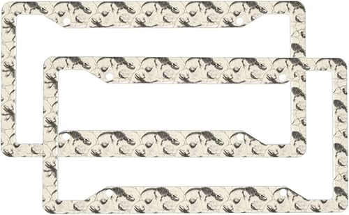 2 Pcs Car License Plate Frames for Women Men - Vintage Lizard Skull Print Aluminum Solid License Plate Cover for Car Accessories for Women Men with