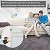 YIROKA-Dog-Door-Bell-self-Powered-Dog-Potty-Training-Door-BellSuper-Light-Press-Button-DoorbellLifetime-Battery-FreeChime-Operating-20-Melodies-LED-Flashfor-All-Dogs Self-Powered Dog Potty Training Door Bell