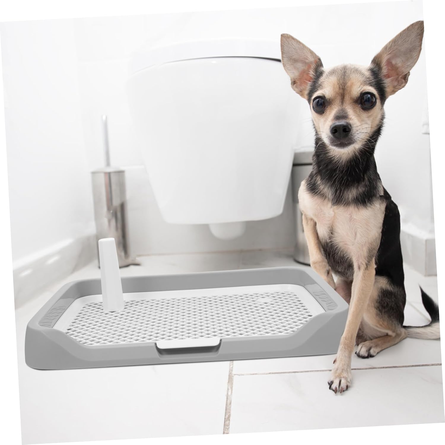 Healifty Splashproof Large Capacity Puppy Pan Dog Potty Tray with Detachable Mesh for Easy Cleaning Indoor Pet Toilet Mat Suitable for All Dog Leak Resistant