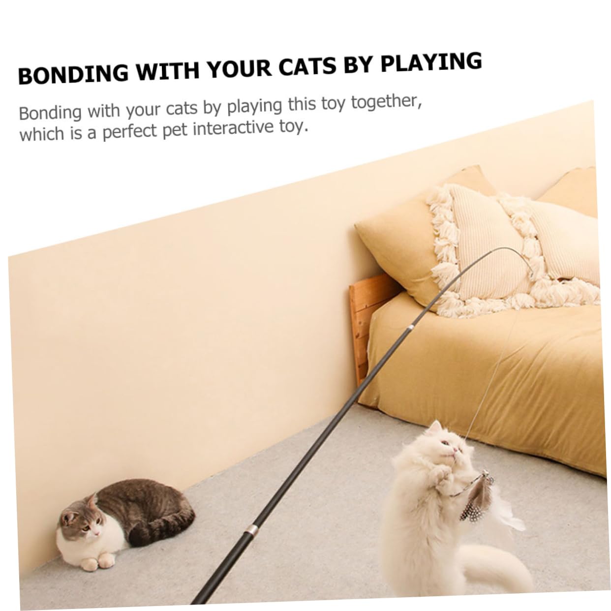 Kisangel Lot De 4 Jouets pour Chat Bâtonnets Interactifs Et Robustes Lot De 2 X 4