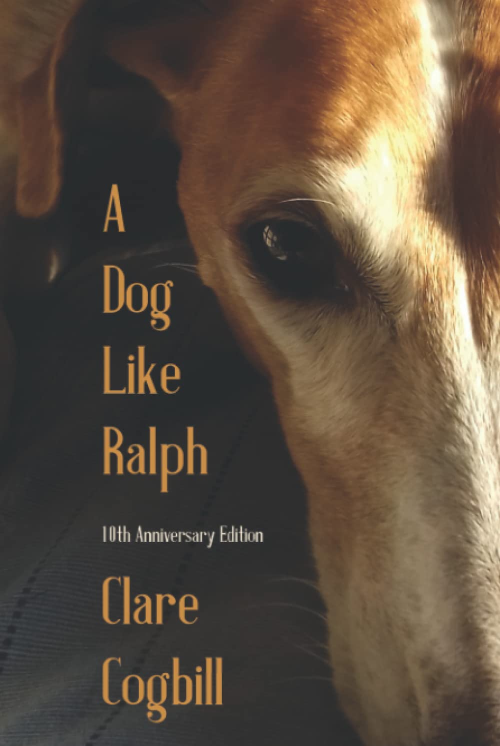 A Dog Like Ralph: ... for anyone who has ever loved a rescue dog (True Rescue Dog Stories)