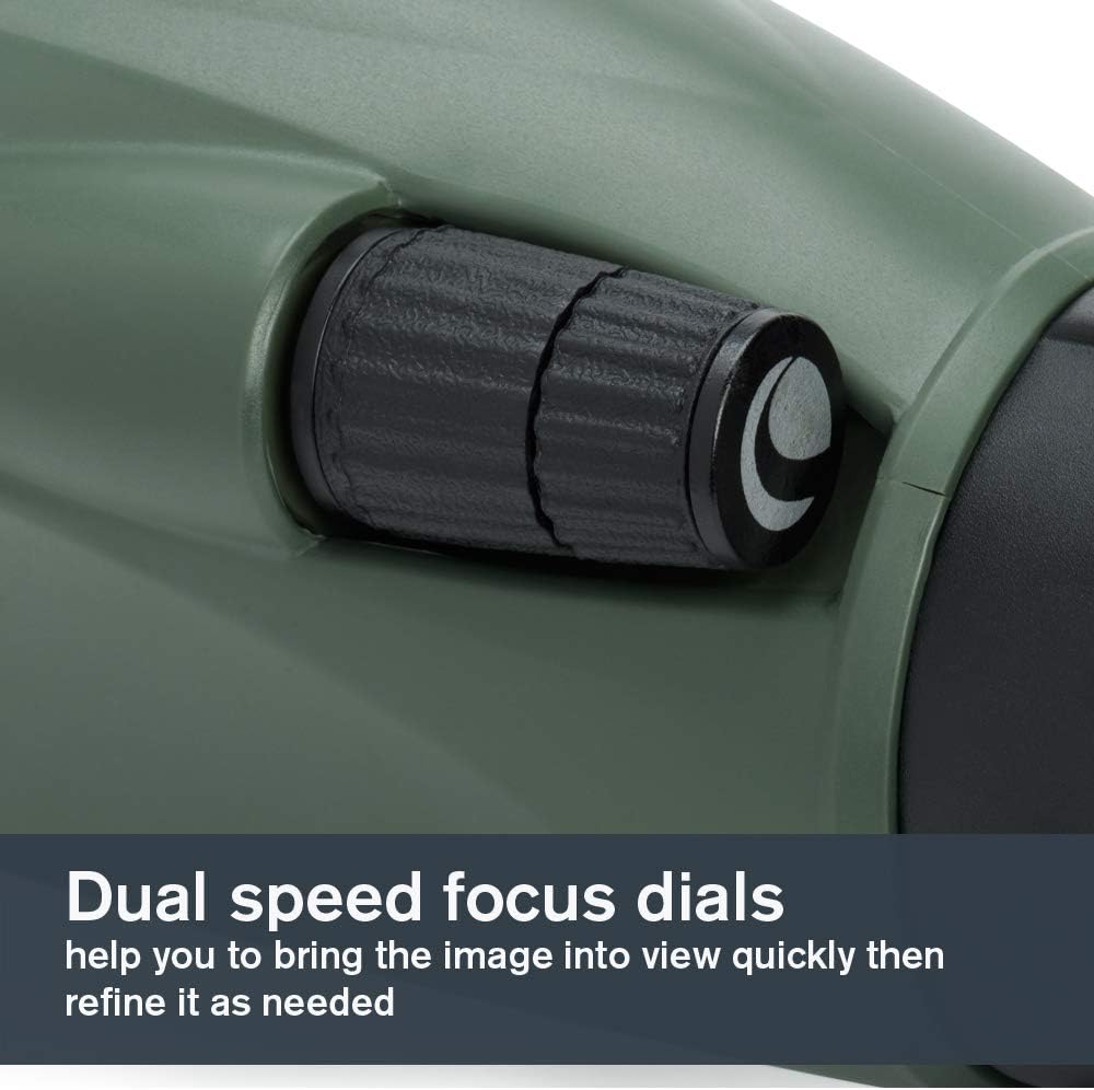 Celestron Regal M2 80ED Spotting Scope – Fully Multi-Coated Optics – Hunting Gear – ED Objective Lens for Bird Watching, Hunting and Digiscoping – Dual Focus – 20-60x Zoom Eyepiece : Sports & Outdoors