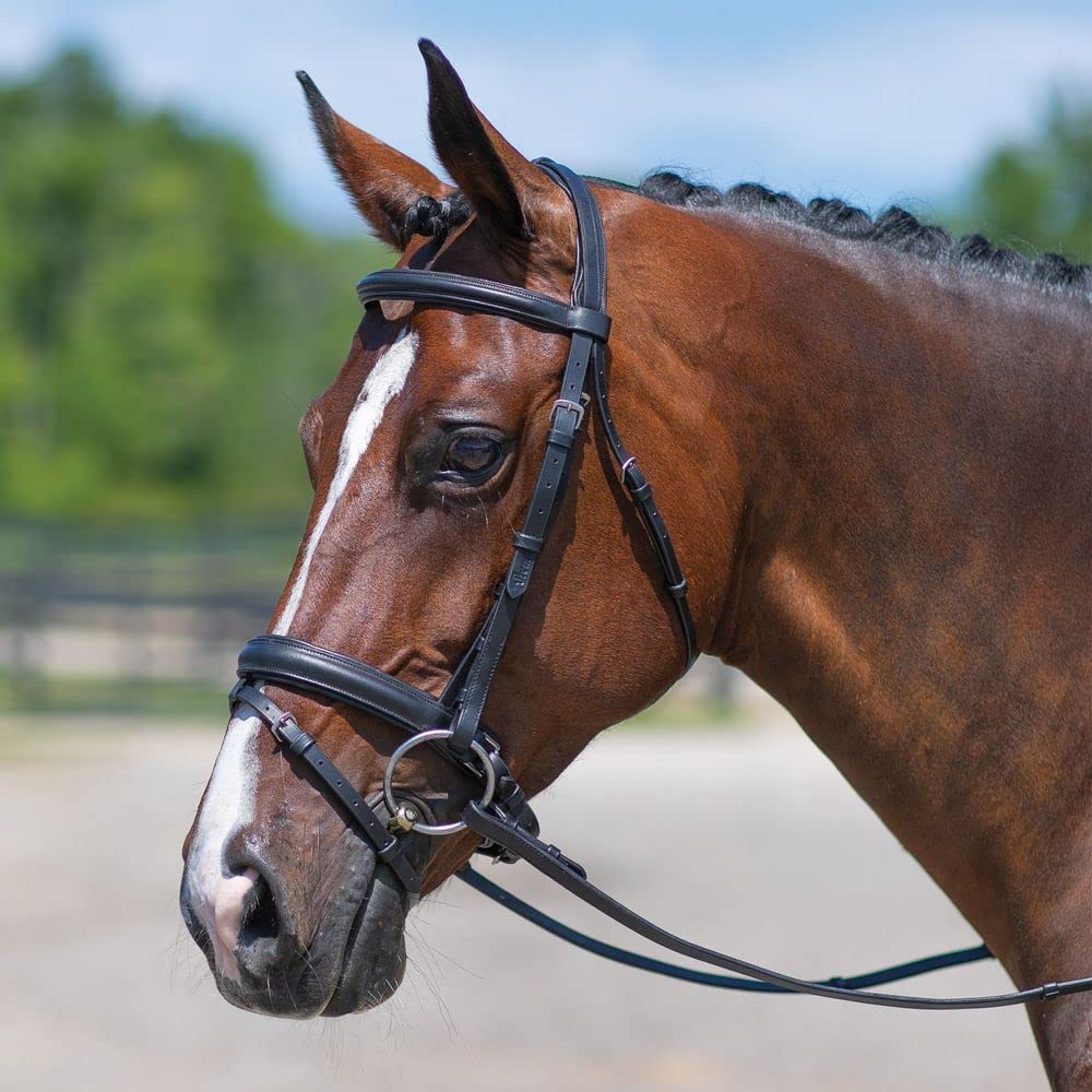 Schneiders Premier Dressage Snaffle Bridle with Crank | Premium Buffalo Leather | Optimal Horse Comfort | Innovative Fold-Away-Flash | Comfort Plus Cutout Crown | Generously Padded | Size Full Size
