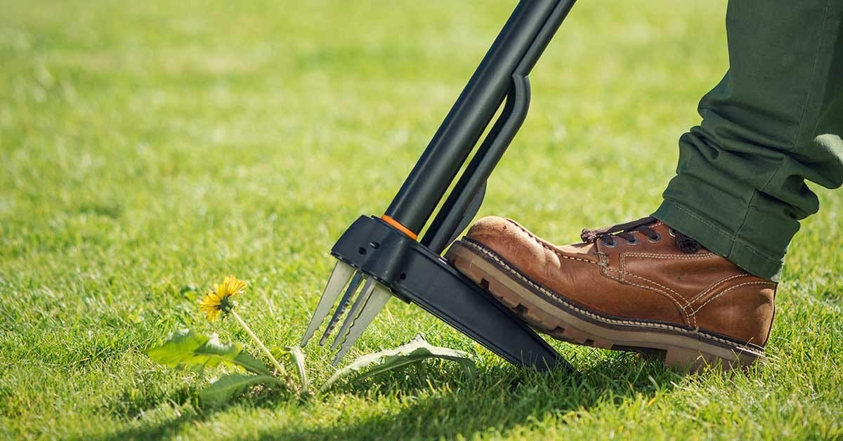 Fiskars Xact Unkrautstecher, Länge: 1 m, Rostfreie Stahl-Arme/Kunststoff-Griff, Schwarz/Orange, Kartoneinzelverpackung, 1077305