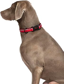 HALTI Comfort Collar - Nylon and Neoprene-Padded Comfy Dog Collar, Reflective, Easy to Fit & Use. Colorful two-tone design, Suitable for Small Dogs and Puppies (Size XS, Black)