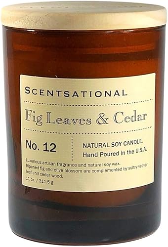 Scentsational Vela ámbar y vainilla, ámbar