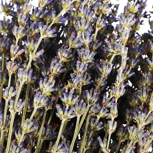 Ramo de Lavanda Secada Artificial para Decoración miniatura 3