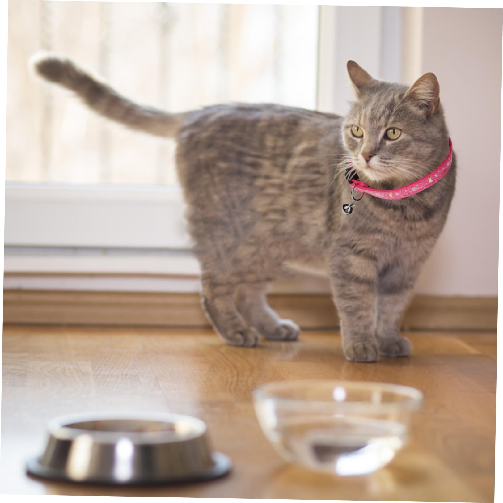 POPETPOP 9 STK Leuchtendes Katzenhalsband Dekoratives Katzenhalsband Katzenhalsbänder Katze Halskette Reflektierendes Hundehalsband Entzückendes Kätzchenhalsband Haustierzubehör Sanft Stoff