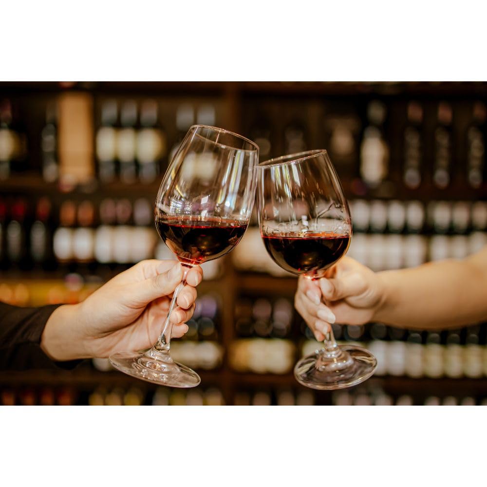 Set Decanter + 6 Calici da Vino | 7 Pezzi | 1,7 L + 315 ml | Vetro Resistente