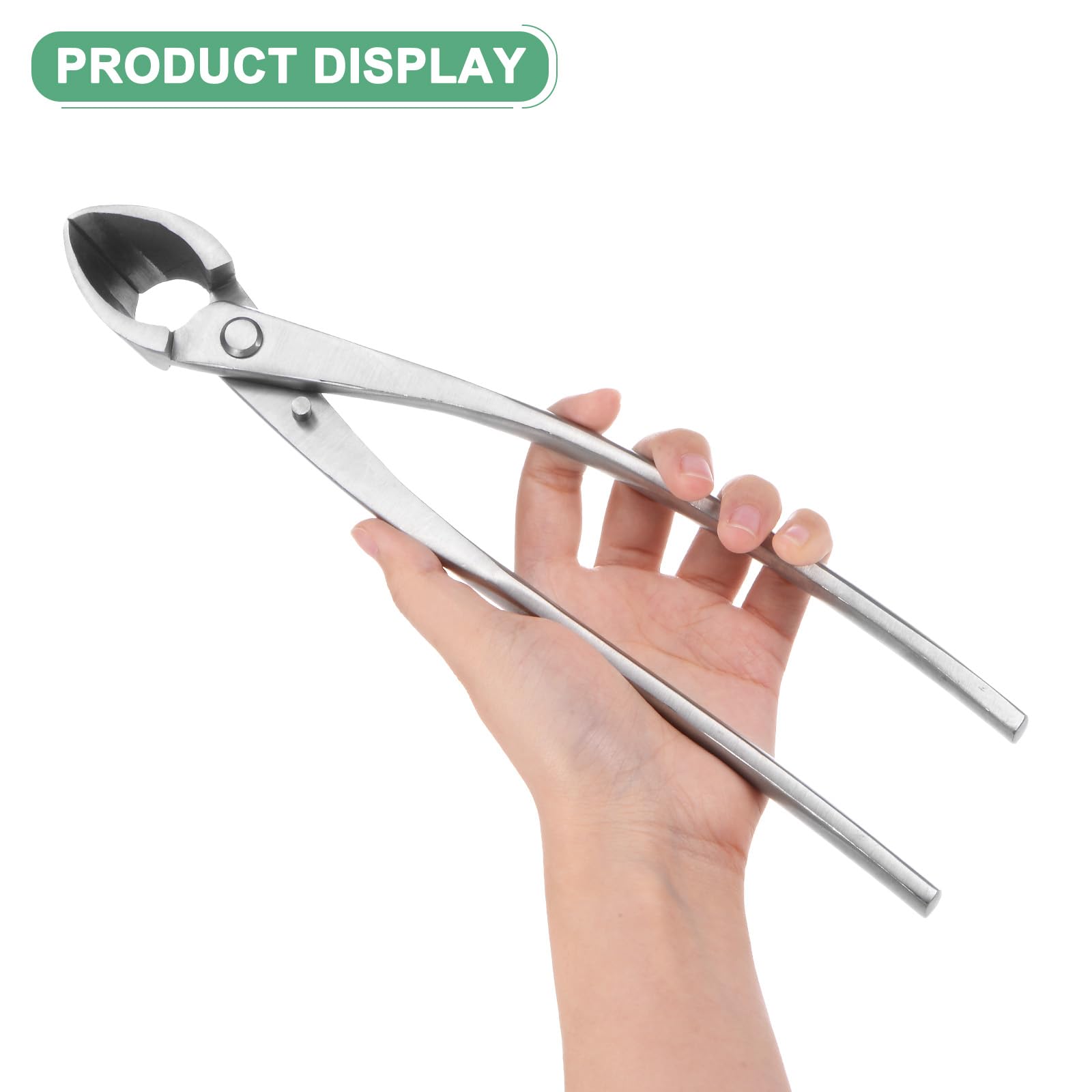 M METERXITY Outil de Bonsaï - Coupe-Concave en Acier Inoxydable de 11 Pouces, Outils de Modélisation pour Arbres de Bonsaï, Adapté à la Taille des Branches/Boutons de Jardinage (280mm, Argent)