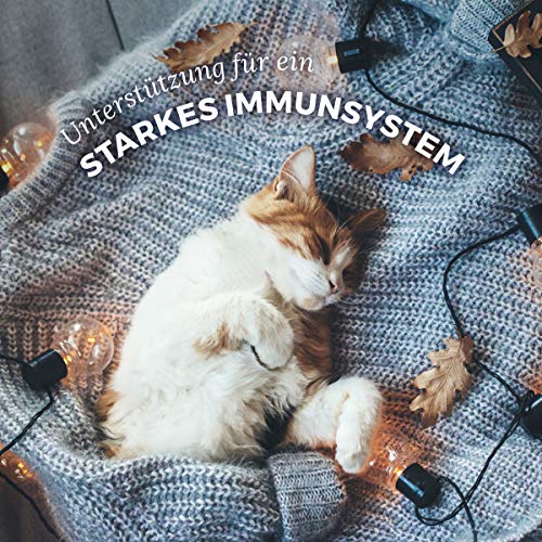 AniForte Kokosöl für Tiere 1000ml, Kaltgepresst, Nativ, Kontrollierte Premium Qualität, Schutz, Ergänzung und Pflege für Fell, Kokosnussöl Kokosfett für Hunde, Katzen und Haustiere, Kokos Öl flüssig