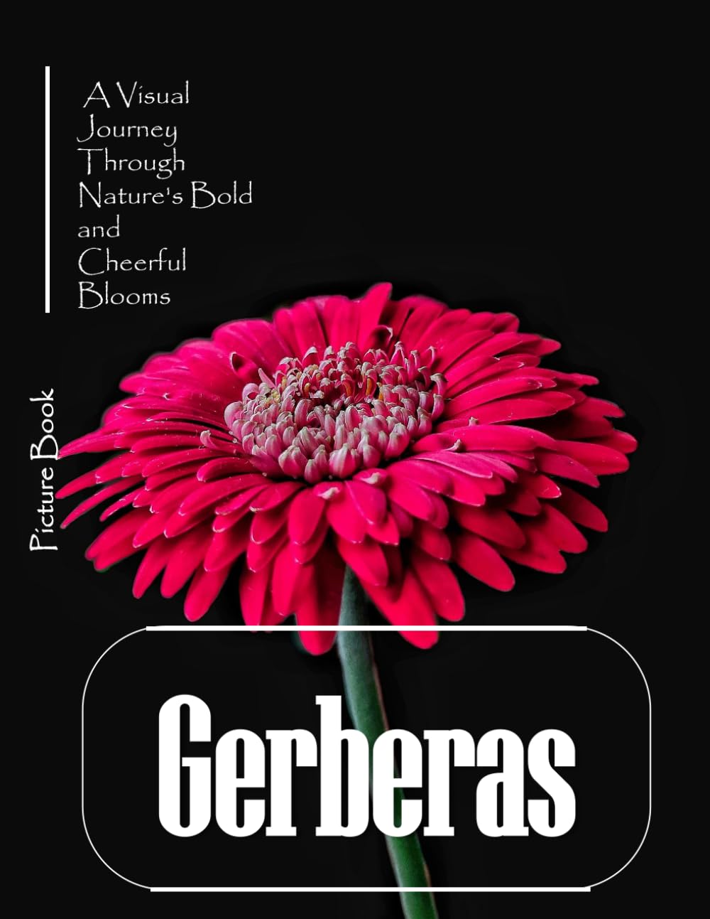 Gerberas: A Cheerful Visual Celebration of Nature's Happiest Flower – with a Beginner's Guide to Growing Gerberas for Seniors, Alzheimer's Sufferers, and Garden Lovers