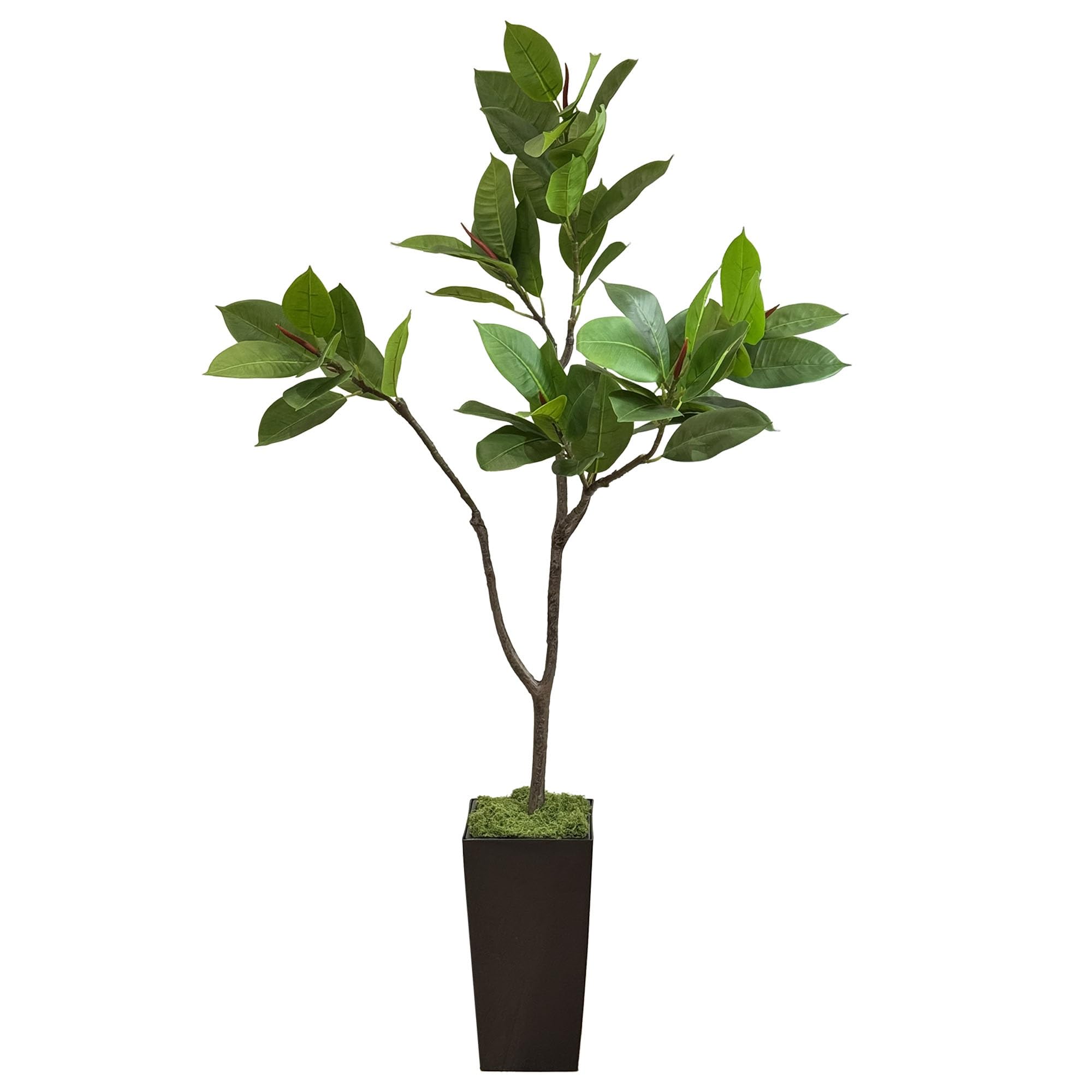 Amazon｜Mr.GARDEN 人工観葉植物 ゴムの木 140cm フェイクグリーン 鉢 