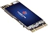 GamerKing M.2 2242 SSD 500GB SATA III 6Gb/s NGFF Internal Solid State Drive Hard Drive High Performance Hard Drive for Laptop/Desktop/Solid State Drive SSD 500GB, M.2 2242