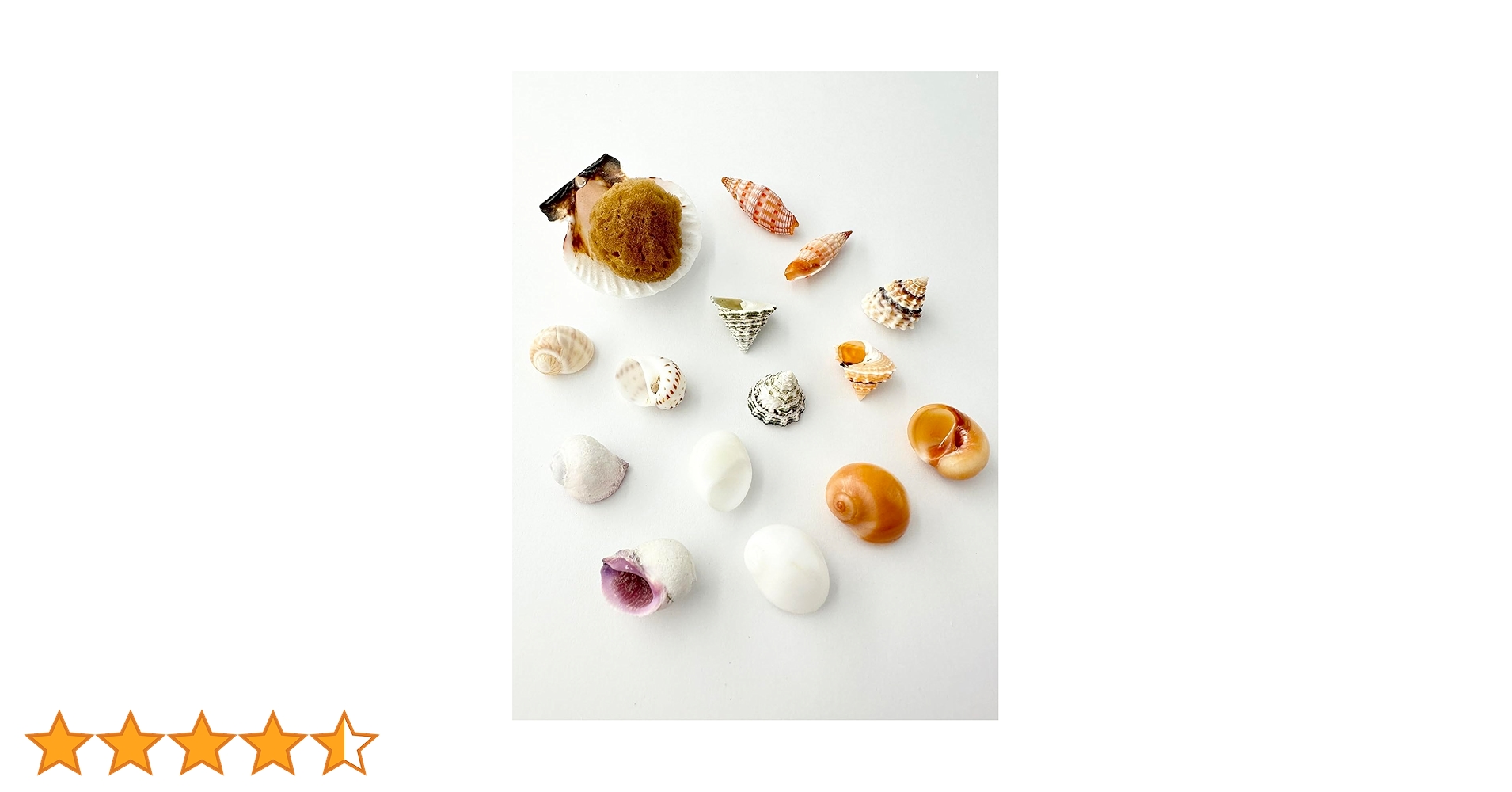 61RlSMJs7pL.jpg_BO30,255,255,