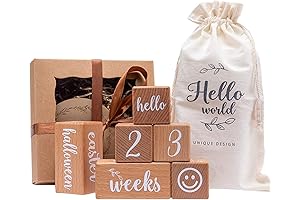 Promise Babe Milestone Blocks Set of 6 Baby Age Blocks