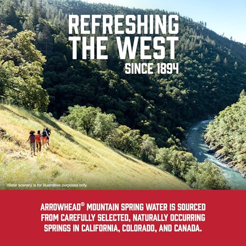 Image of Arrowhead Mountain Spring Water Bottles, 6 Pack - Still Bottled Water with Naturally Occurring Minerals for Taste - 16.9 Fl Oz