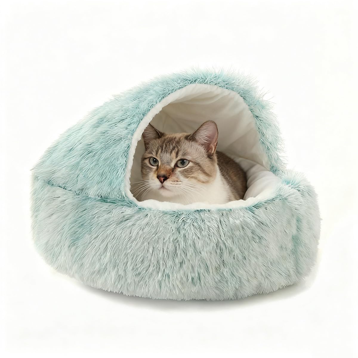 Grotte apaisante pour chat, chien et chaton en peluche moelleuse - Sac de couchage chaud en forme de tente, igloo d'intérieur chaud (vert, 80 cm)