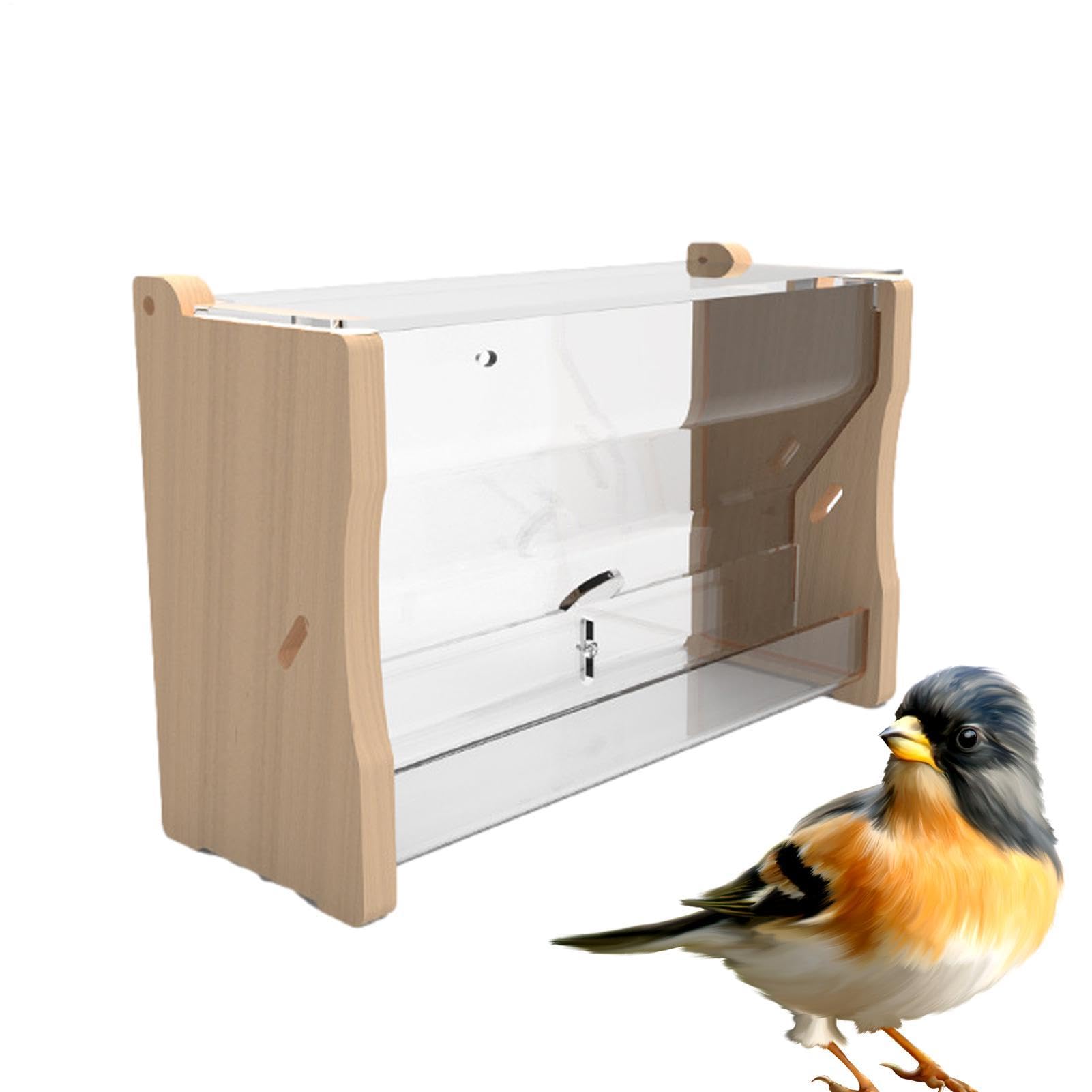 Distributeur d'eau automatique pour oiseaux | Distributeur d'eau pour oiseaux - Accessoires pour cailles, poules, perroquets, etc