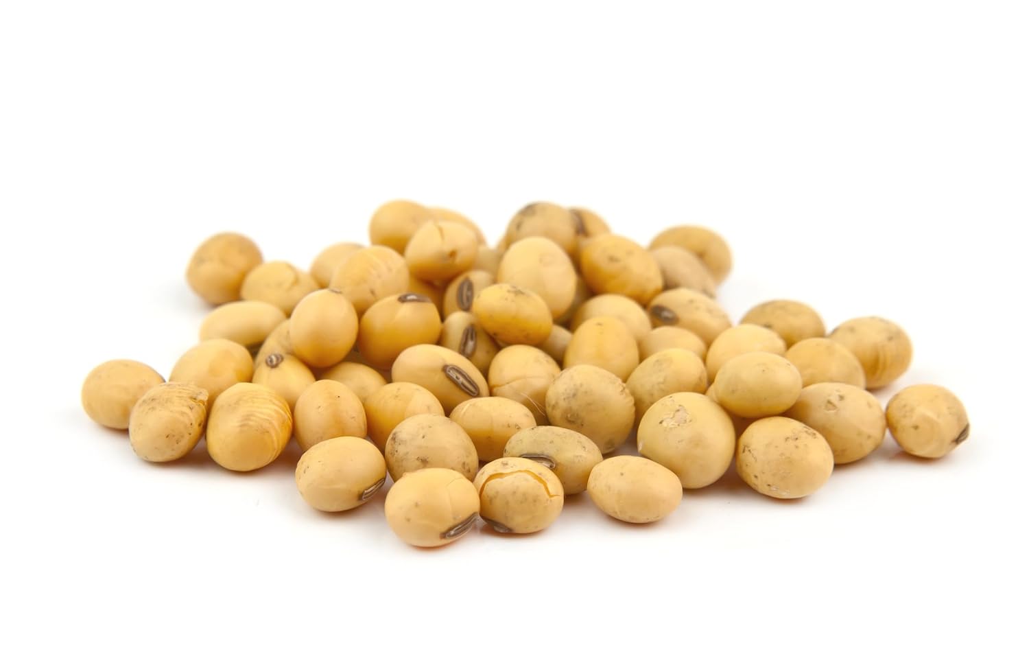 Hunza Organic Soybeans (2 lbs)
