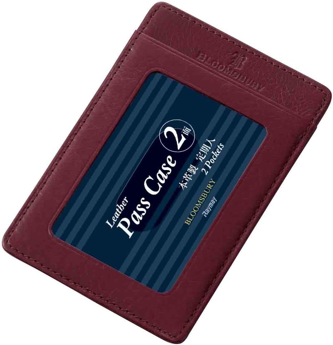 レイメイ藤井 Men's Single Pass