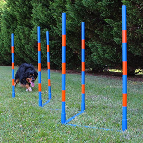 Lord Anson™ Dog Agility Weave Poles - Competition Grade Adjustable Agility Weave Pole Set - Dog Agility Equipment Set - 6 Weave Pole Set W/Carrying Case #TOP6