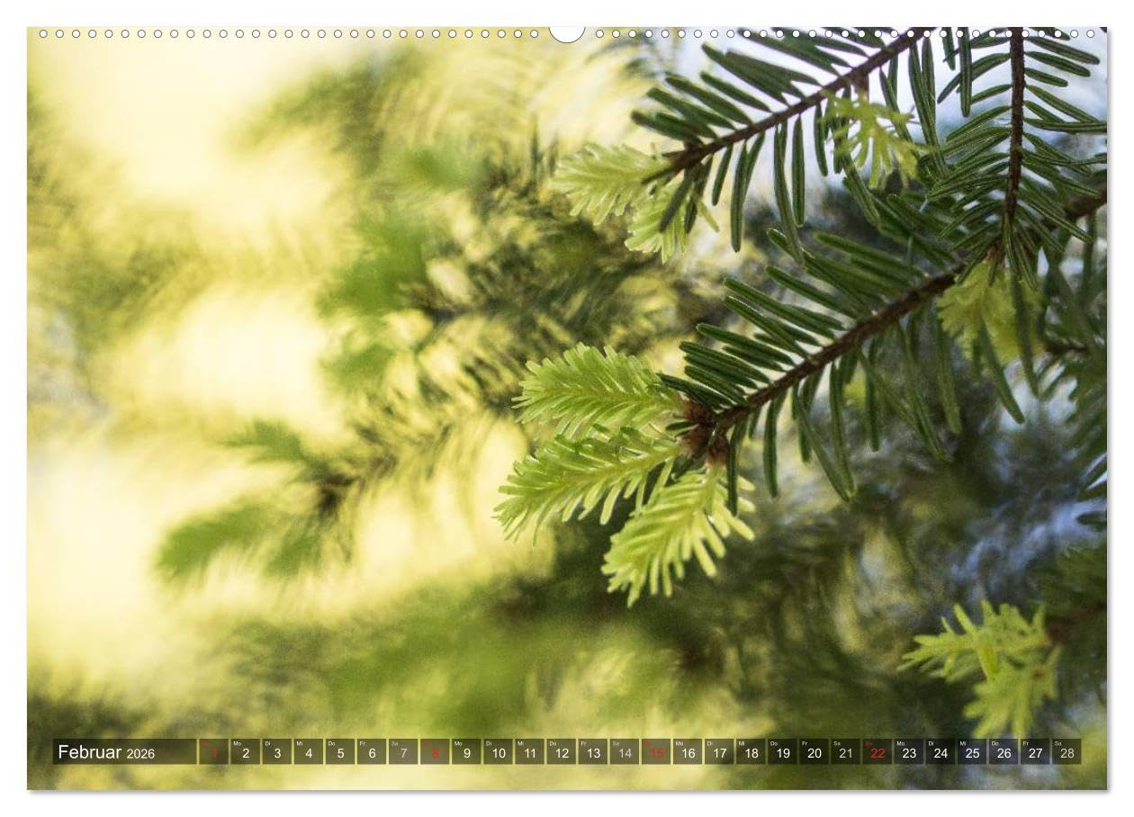 Feng Shui Farben - Element: Holz (hochwertiger Premium Wandkalender 2026 DIN A2 quer), Kunstdruck in Hochglanz: Die Farbe Grün, die dem Element Holz ... Jahr über in Ihre Räume. (CALVENDO Natur)