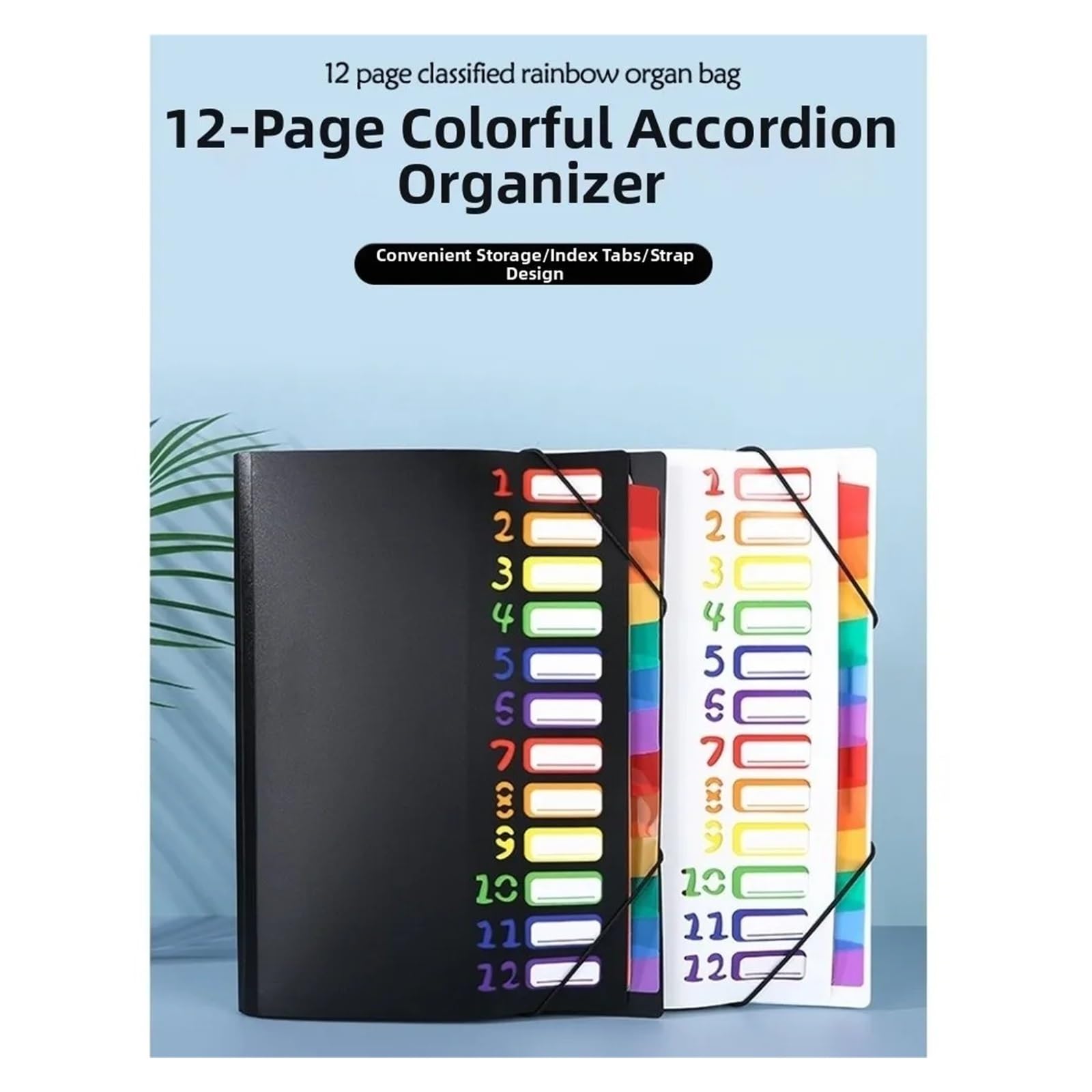 Organizer per documenti, Organizer for file in PP con fascia elastica A4 12 tasche