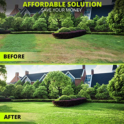 Plantnomics Lawn Aerator Shoes with Hook-and-Loop Straps, User Manual, Wrench – Pre-Assembled, Fully Adjustable, One-Size-Fits-All – Lawn and Garden Tool Reduces Thatch, Revives Soil Health, Camel