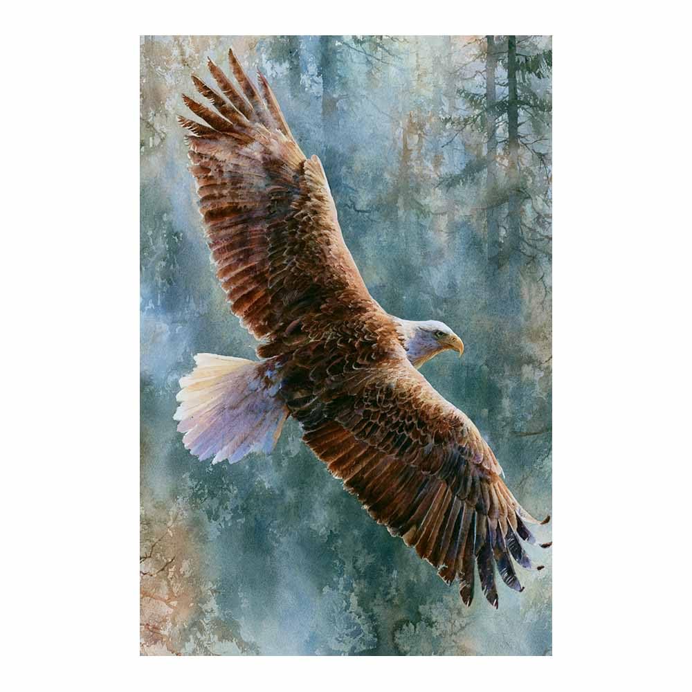 Toile pygargues à tête blanche décoration murale oiseau 40x60cm