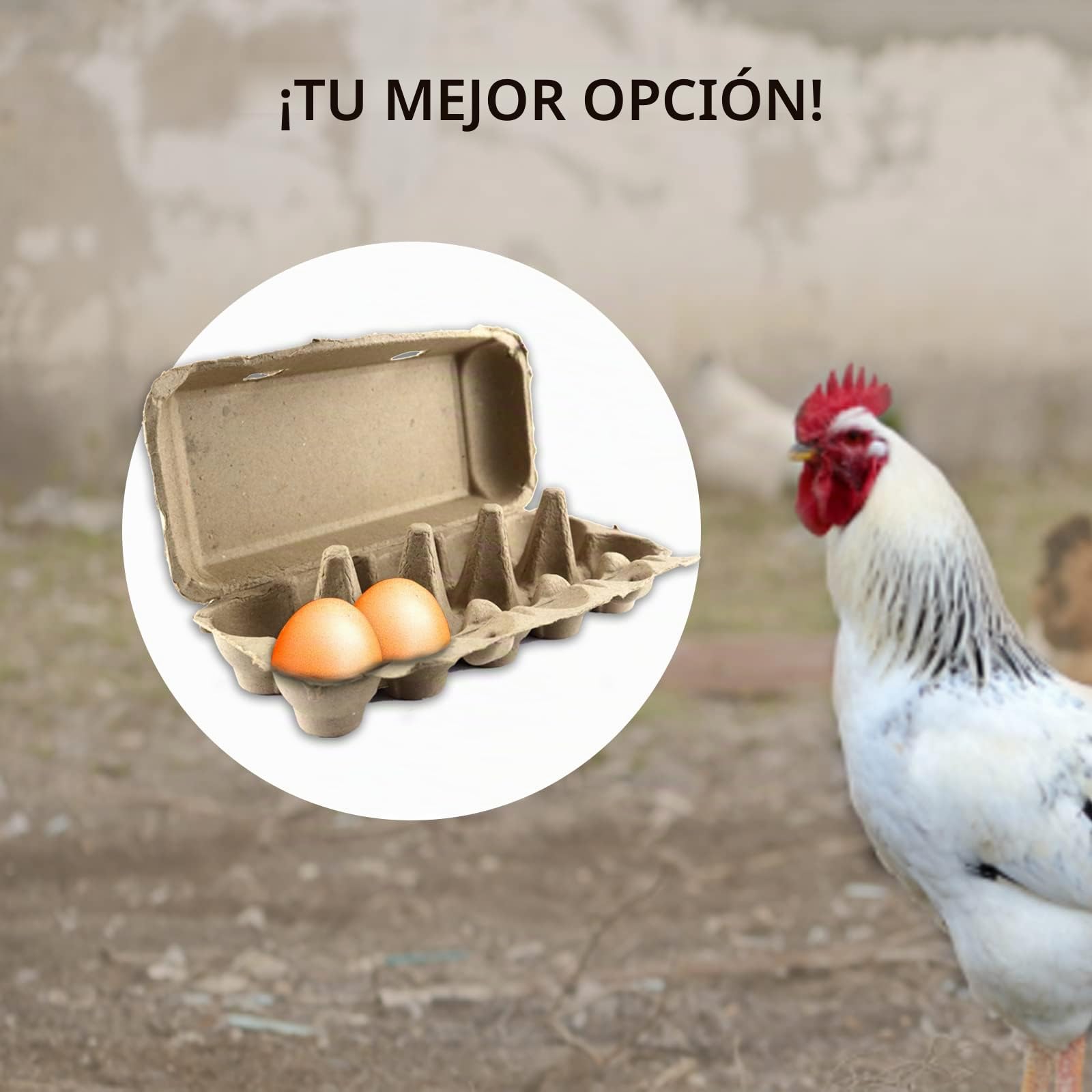Cajas de cartón para huevos, 10 unidades, sin imprimir, con tapa, para 10 huevos, color marrón