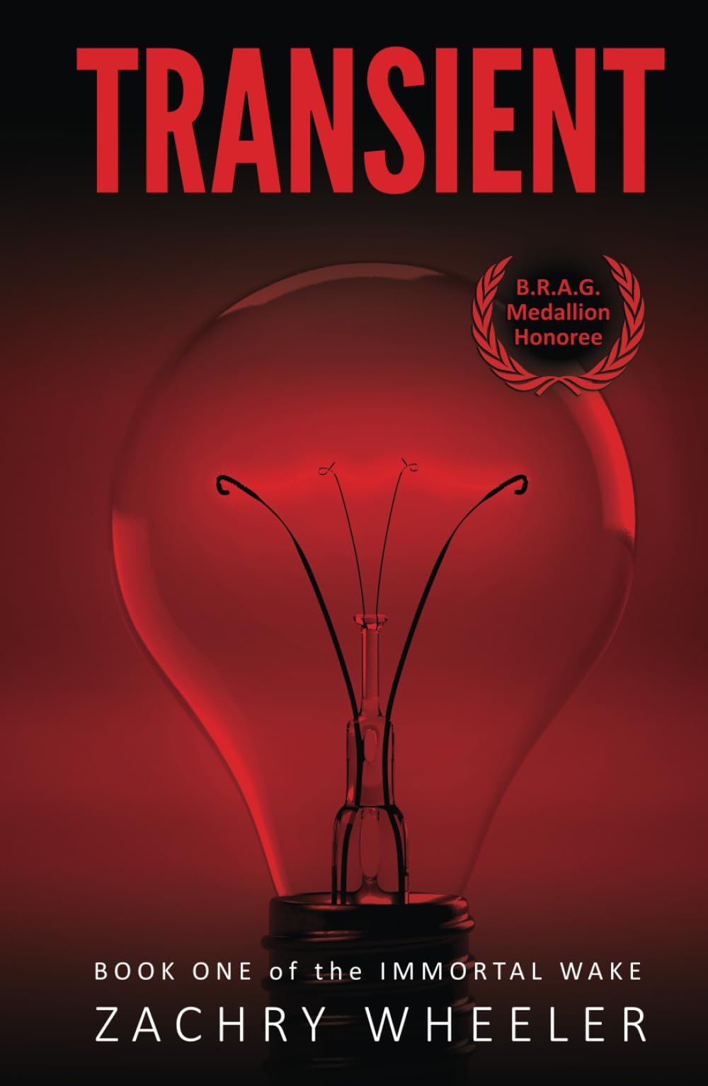 Transient: A Tech Noir Novel (Immortal Wake, Band 1)